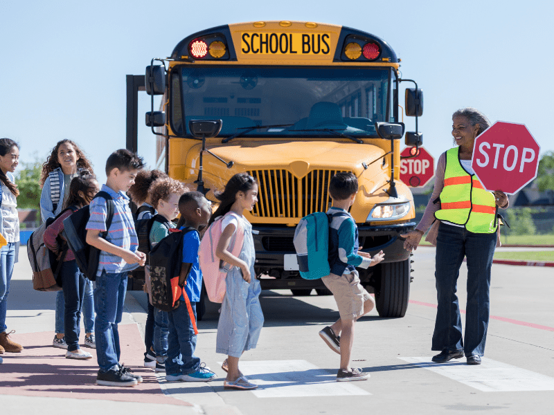 Crossing guard helps elementary students cross the street.